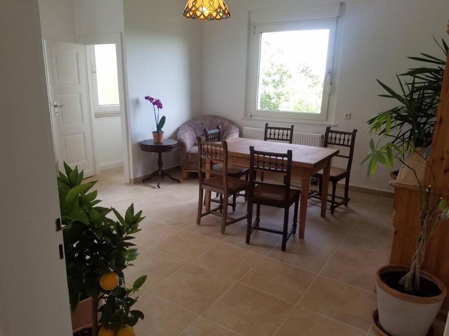 Ferienwohnung Alte-Schule-Kail Wohnung 2 ภายนอก รูปภาพ