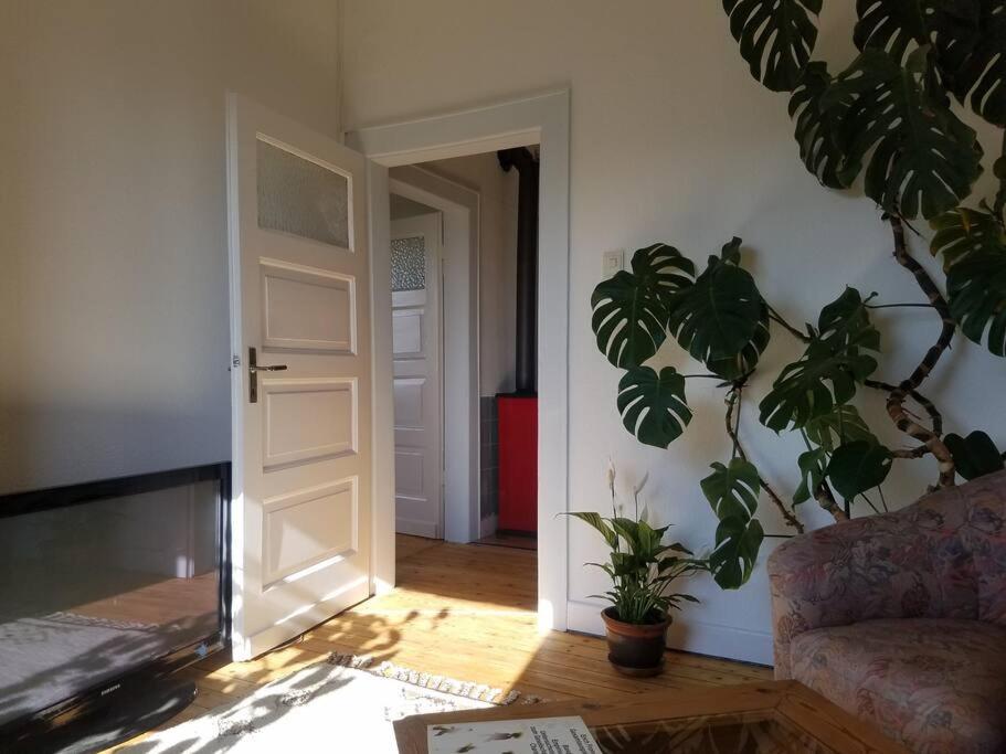 Ferienwohnung Alte-Schule-Kail Wohnung 2 ภายนอก รูปภาพ