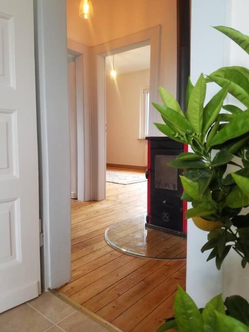 Ferienwohnung Alte-Schule-Kail Wohnung 2 ภายนอก รูปภาพ