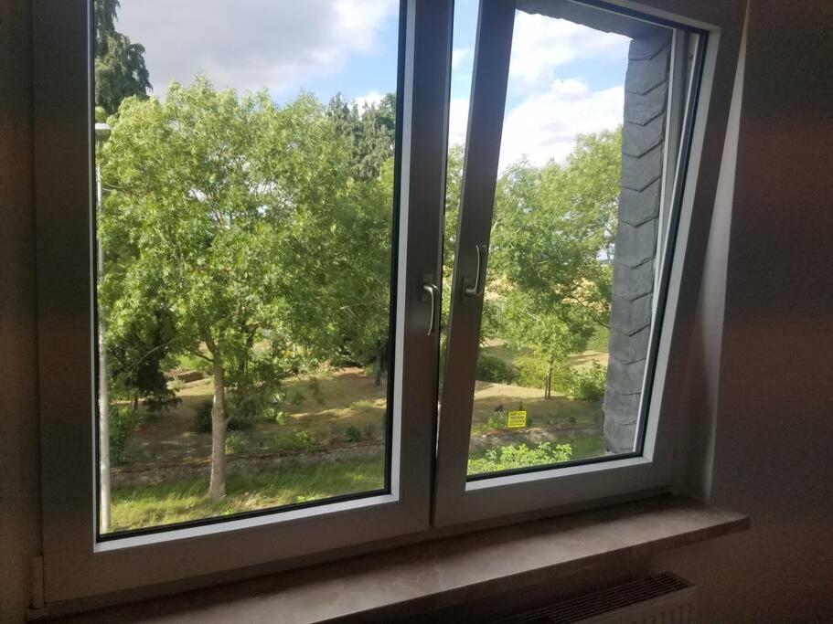 Ferienwohnung Alte-Schule-Kail Wohnung 2 ภายนอก รูปภาพ