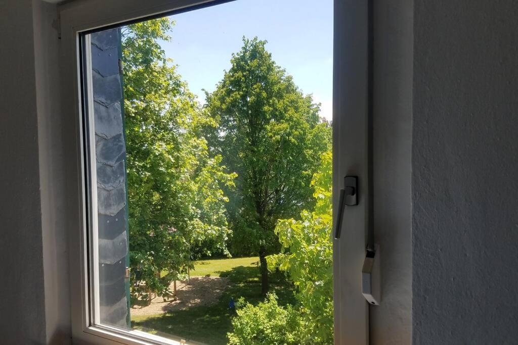 Ferienwohnung Alte-Schule-Kail Wohnung 2 ภายนอก รูปภาพ
